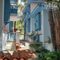 фото из отзыва ID 2300654