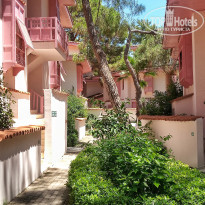 фото из отзыва ID 2300654