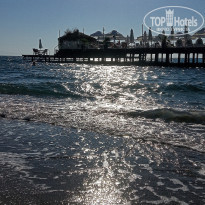 фото из отзыва ID 2300654