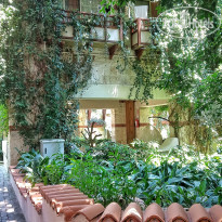 фото из отзыва ID 2300654