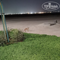 фото из отзыва ID 2300753