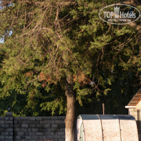 фото из отзыва ID 2300865