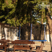 фото из отзыва ID 2300865