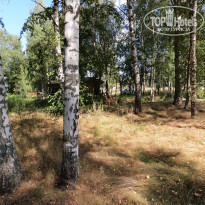 фото из отзыва ID 2300944