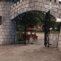 фото из отзыва ID 2300944