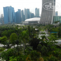 фото из отзыва ID 2301061