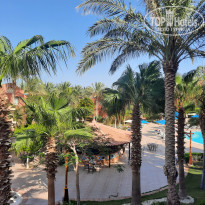 фото из отзыва ID 2301119