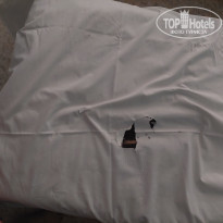 фото из отзыва ID 2301203