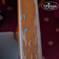 фото из отзыва ID 2301225