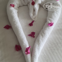 фото из отзыва ID 2301780