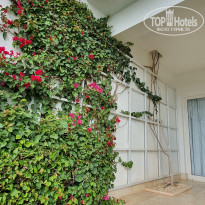 фото из отзыва ID 2301780