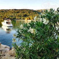 фото из отзыва ID 2301847