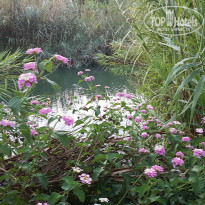 фото из отзыва ID 2301865