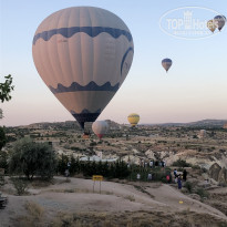 фото из отзыва ID 2301902