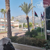 фото из отзыва ID 2301947