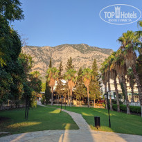 фото из отзыва ID 2302018