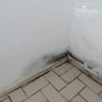 фото из отзыва ID 2302096