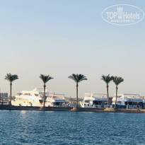 фото из отзыва ID 2302104