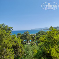 фото из отзыва ID 2302133