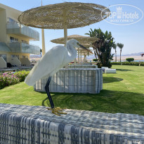 фото из отзыва ID 2302210