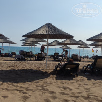 фото из отзыва ID 2302316