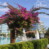 фото из отзыва ID 2302316