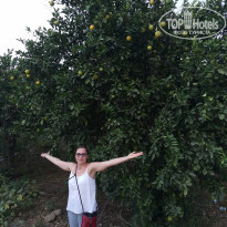 фото из отзыва ID 2302155