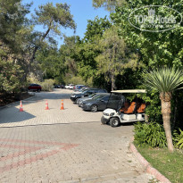 фото из отзыва ID 2302471