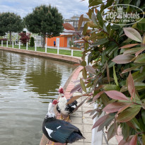 фото из отзыва ID 2302583