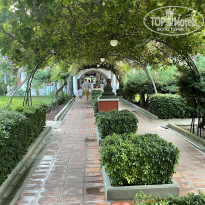 фото из отзыва ID 2302644