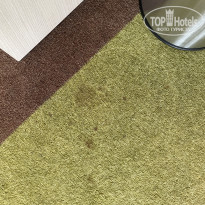 фото из отзыва ID 2302829