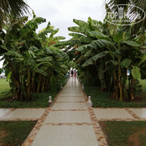 фото из отзыва ID 2302838