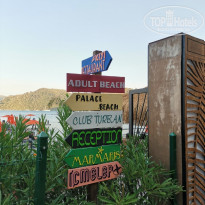 фото из отзыва ID 2302858