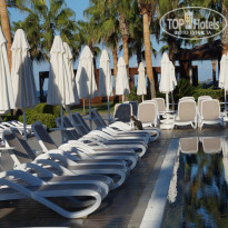 фото из отзыва ID 2303130