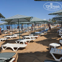 фото из отзыва ID 2303143