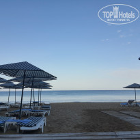 фото из отзыва ID 2303143