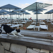 фото из отзыва ID 2303143