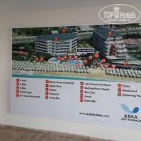 фото из отзыва ID 2303143