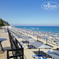 фото из отзыва ID 2303202