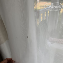 фото из отзыва ID 2303453