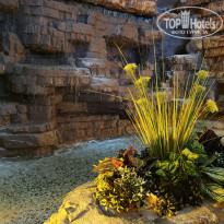 фото из отзыва ID 2303474