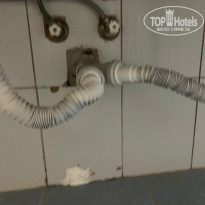 фото из отзыва ID 2303539