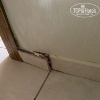 фото из отзыва ID 2303539