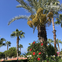 фото из отзыва ID 2303541