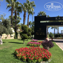 фото из отзыва ID 2303541