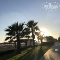 фото из отзыва ID 2303541