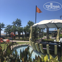 фото из отзыва ID 2303541