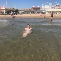 фото из отзыва ID 2303682