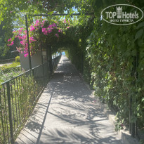 фото из отзыва ID 2303793