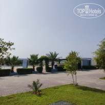 фото из отзыва ID 2303929